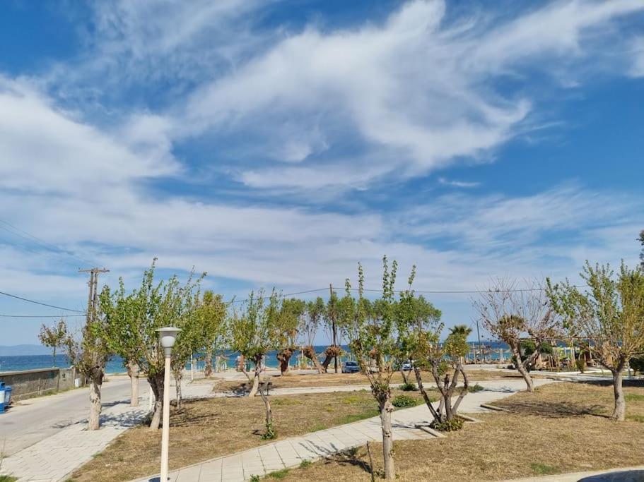 Connie'S Beach House Miasto Kos Zewnętrze zdjęcie